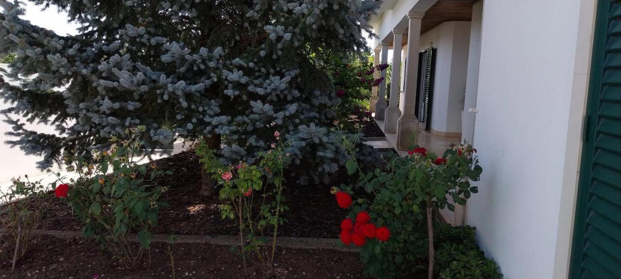 Casa Com Alma Guest House Fatima Exterior photo