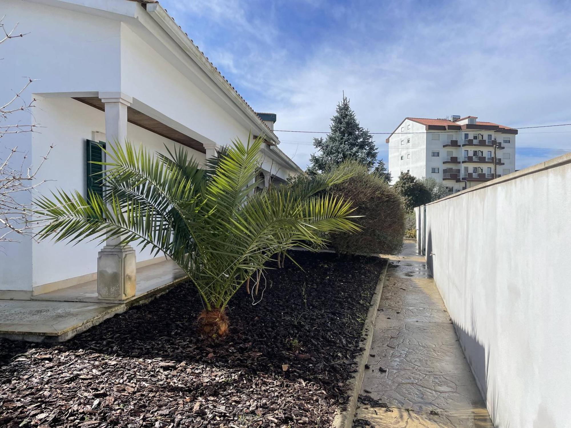Casa Com Alma Guest House Fatima Exterior photo